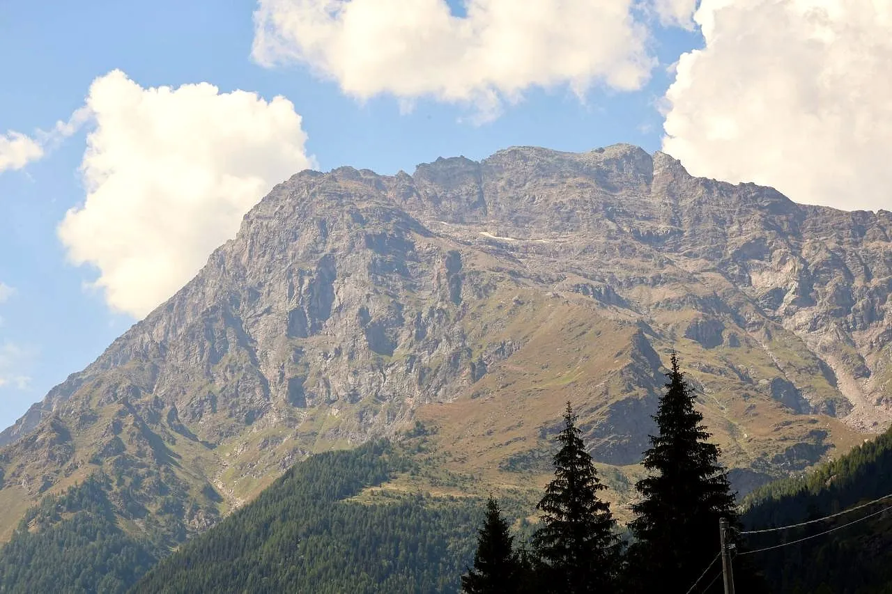 Una montagna rocciosa sotto un cielo con nuvole bianche, con due abeti in primo piano, in Valmalenco
