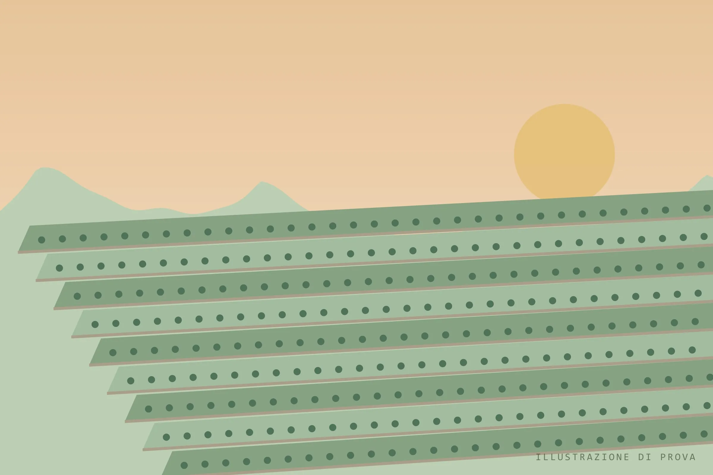 Illustrazione di prova: vigneti terrazzati al tramonto