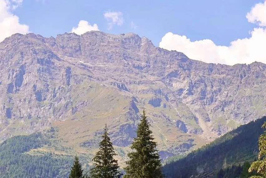 Montagne rocciose e abeti sotto il cielo d'estate