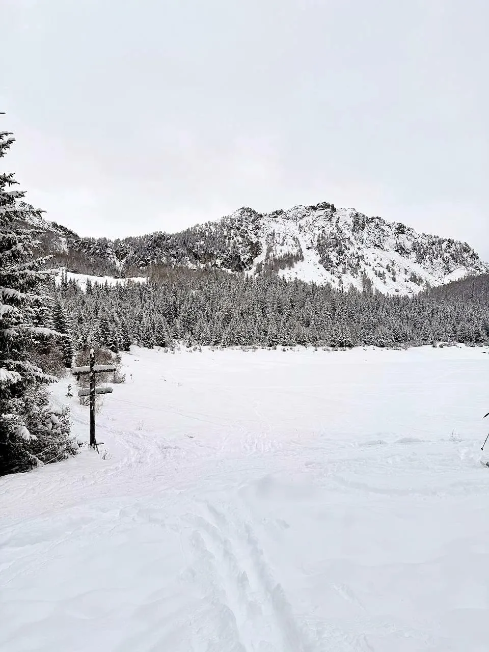 Una piana coperta di neve davanti a una montagna innevata e a un bosco di abeti, in Valmalenco
