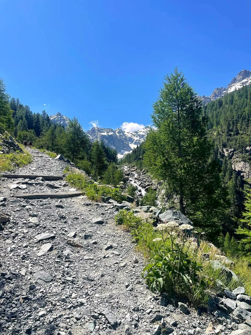 Un sentiero di pietre accanto a un torrente, tra larici e cime innevate, in Valmalenco