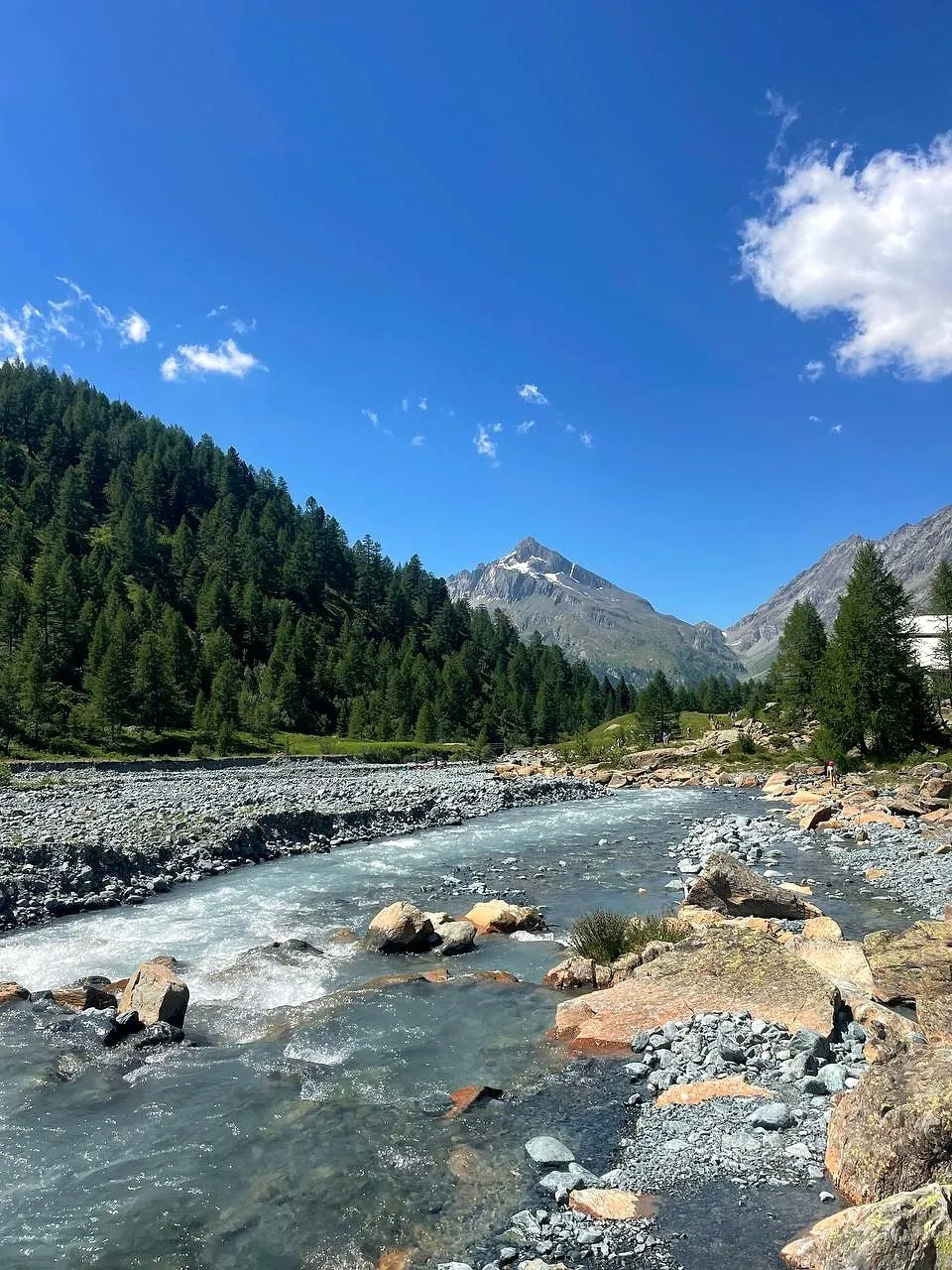 Un torrente tra le rocce, con boschi di abeti e cime sullo sfondo, in Valmalenco