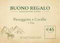 Voucher - Buono Regalo Passeggiata a Cavallo 1 Ora
